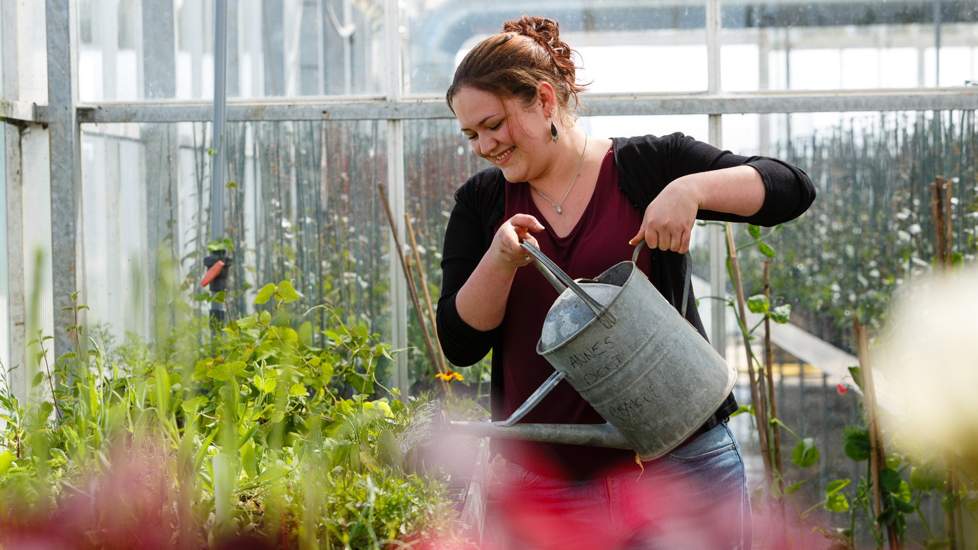 Higher Newham Farm & Village Website Design and Development Case Study