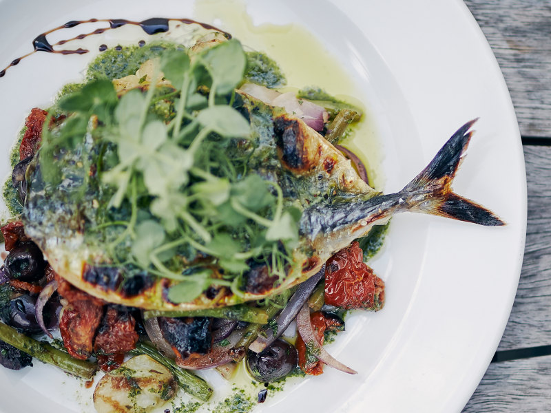 Photograph of a plate of Mackeral at Trebah Garden kitchen