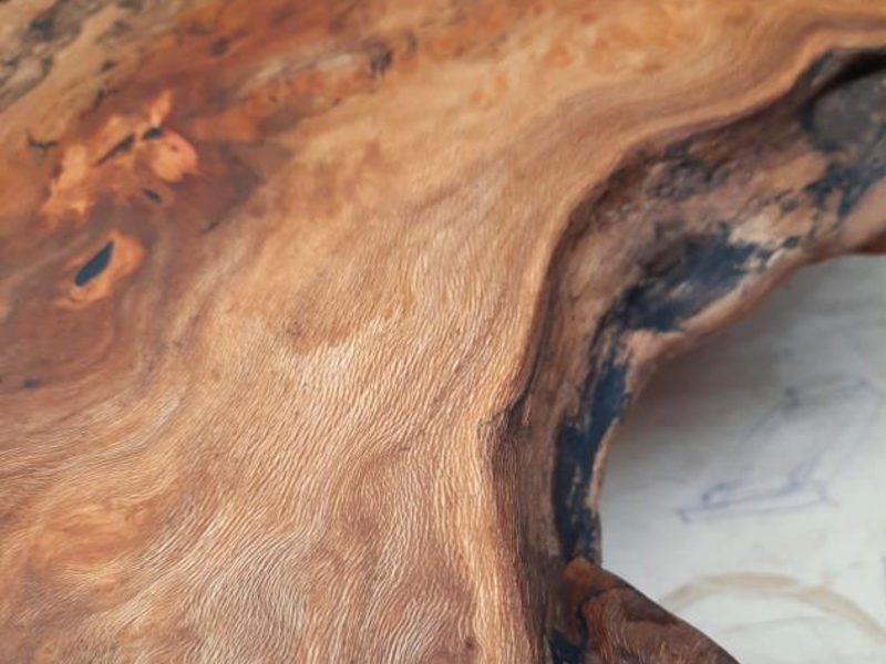 London Plane burr board