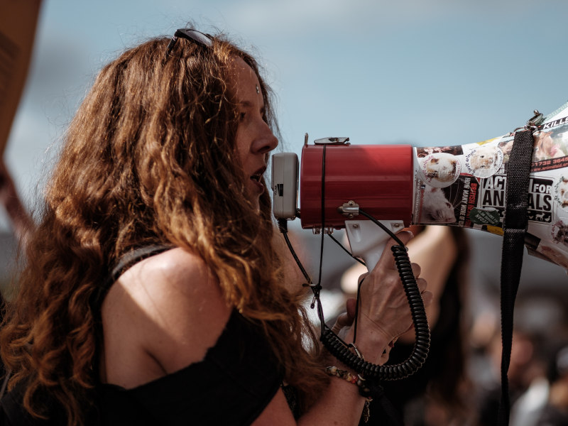 Development Compass Megaphone