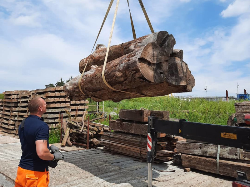 Delivery of London Plane from Camden