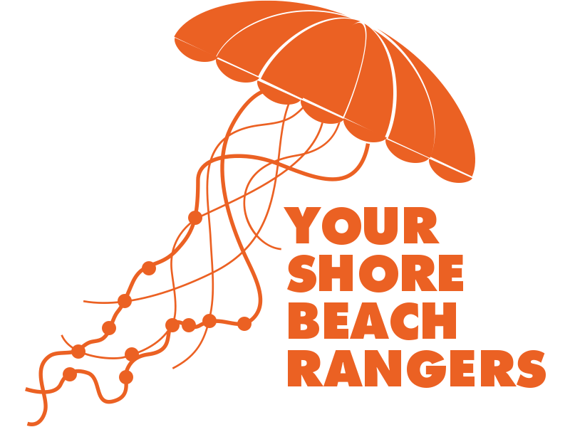 Your shore beach rangers logo in orange