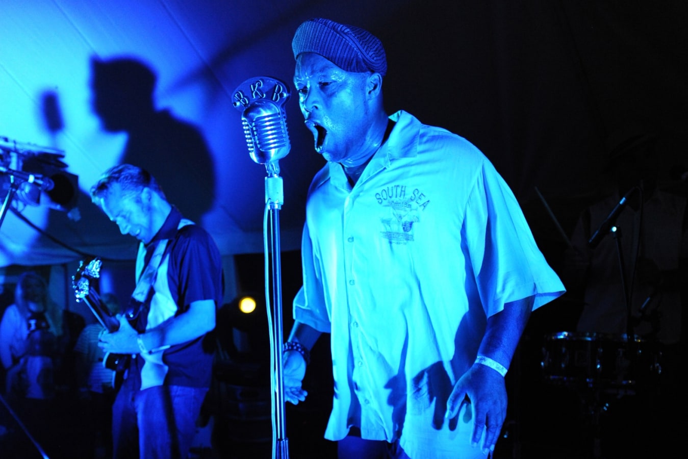 Port Elliot Festival live music performance on stage at night