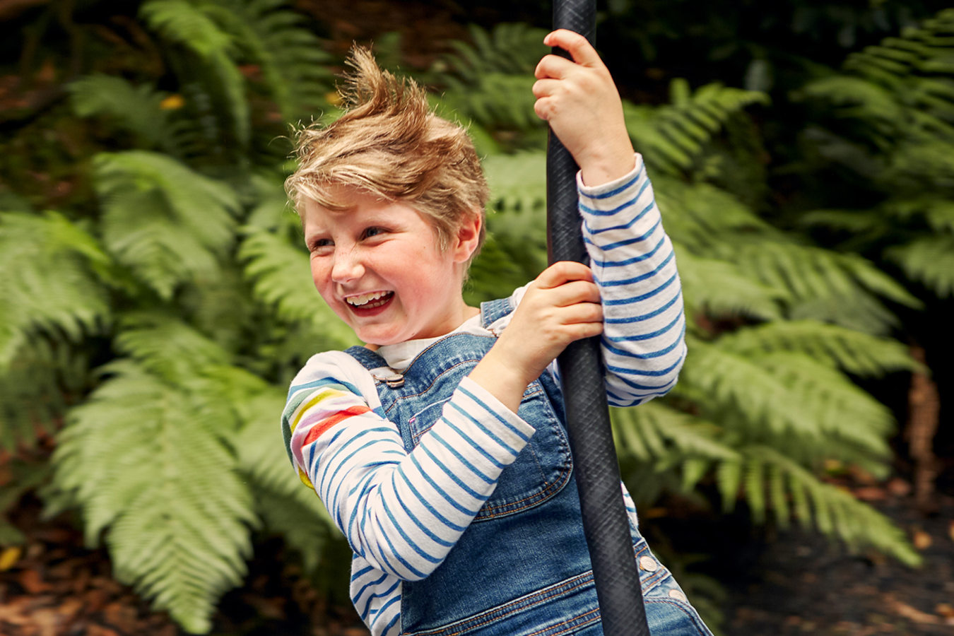 Child on a zip wire at Trebah Gardens Cornwall at 6x4 ratio