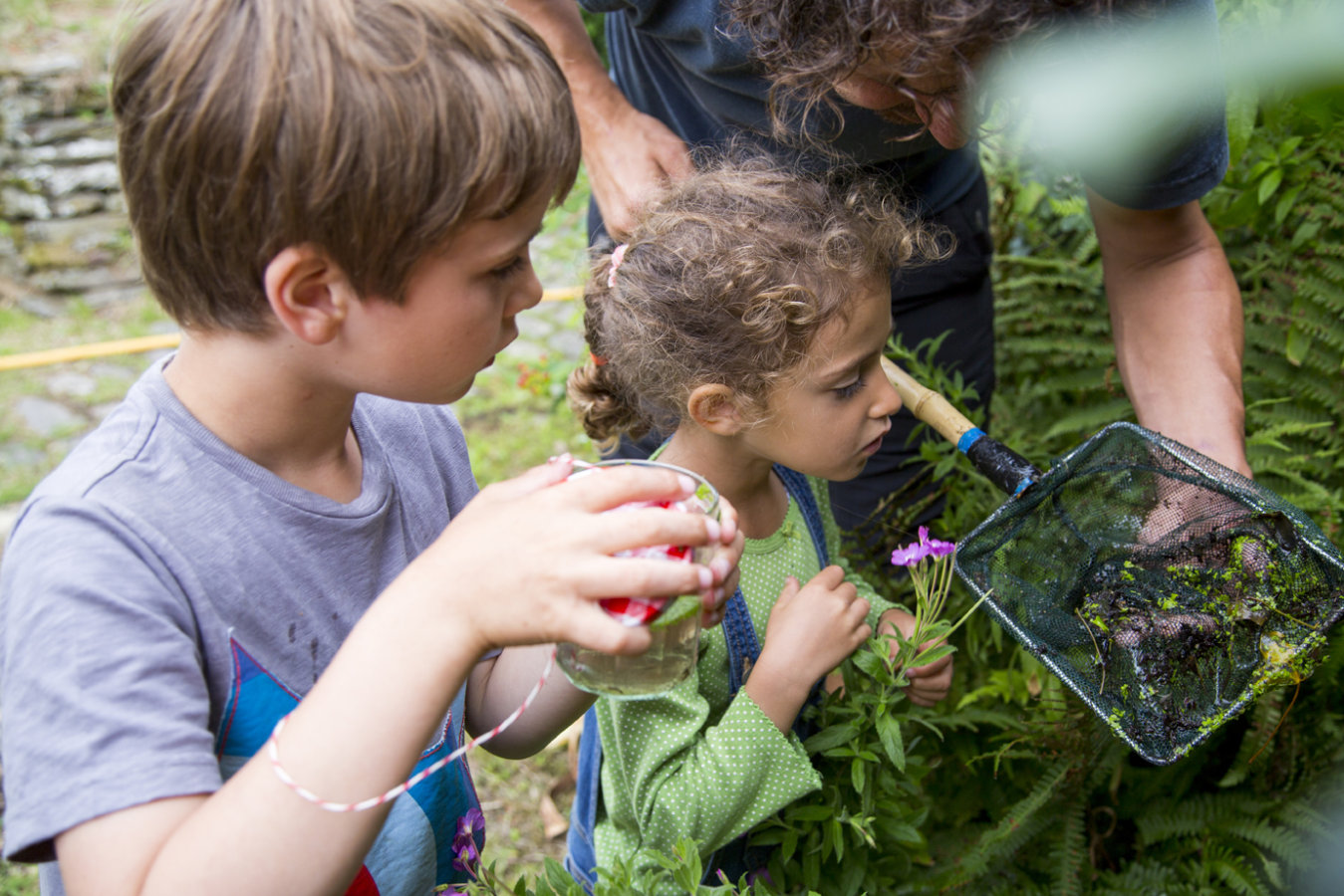 Higher Newham pond dipping image with children