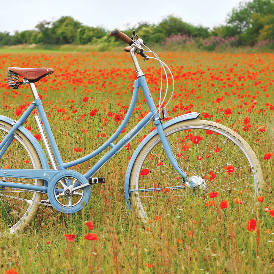 Paslhey bike in fields