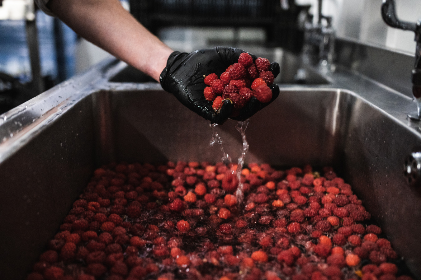 fresh raspberries