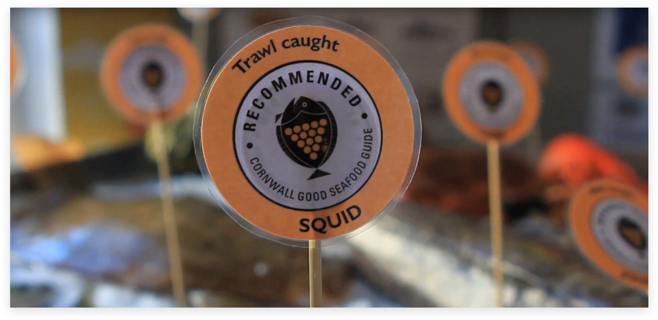 cornwall good seafood guide recommended trawl caught badge