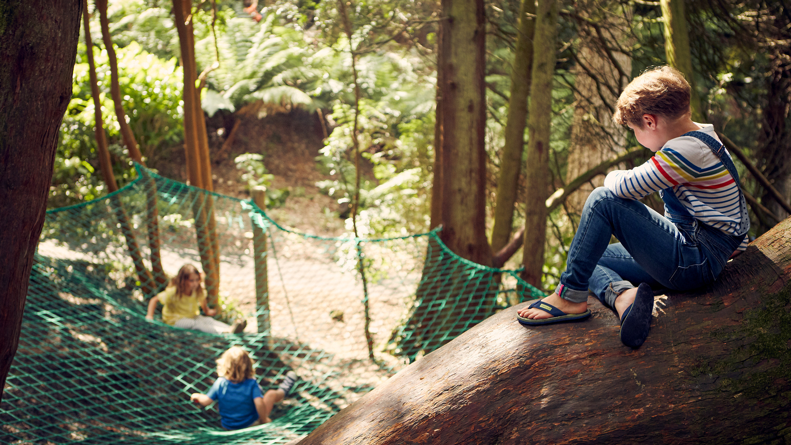 Children playing at the play area at Trebah Garden Cornwall