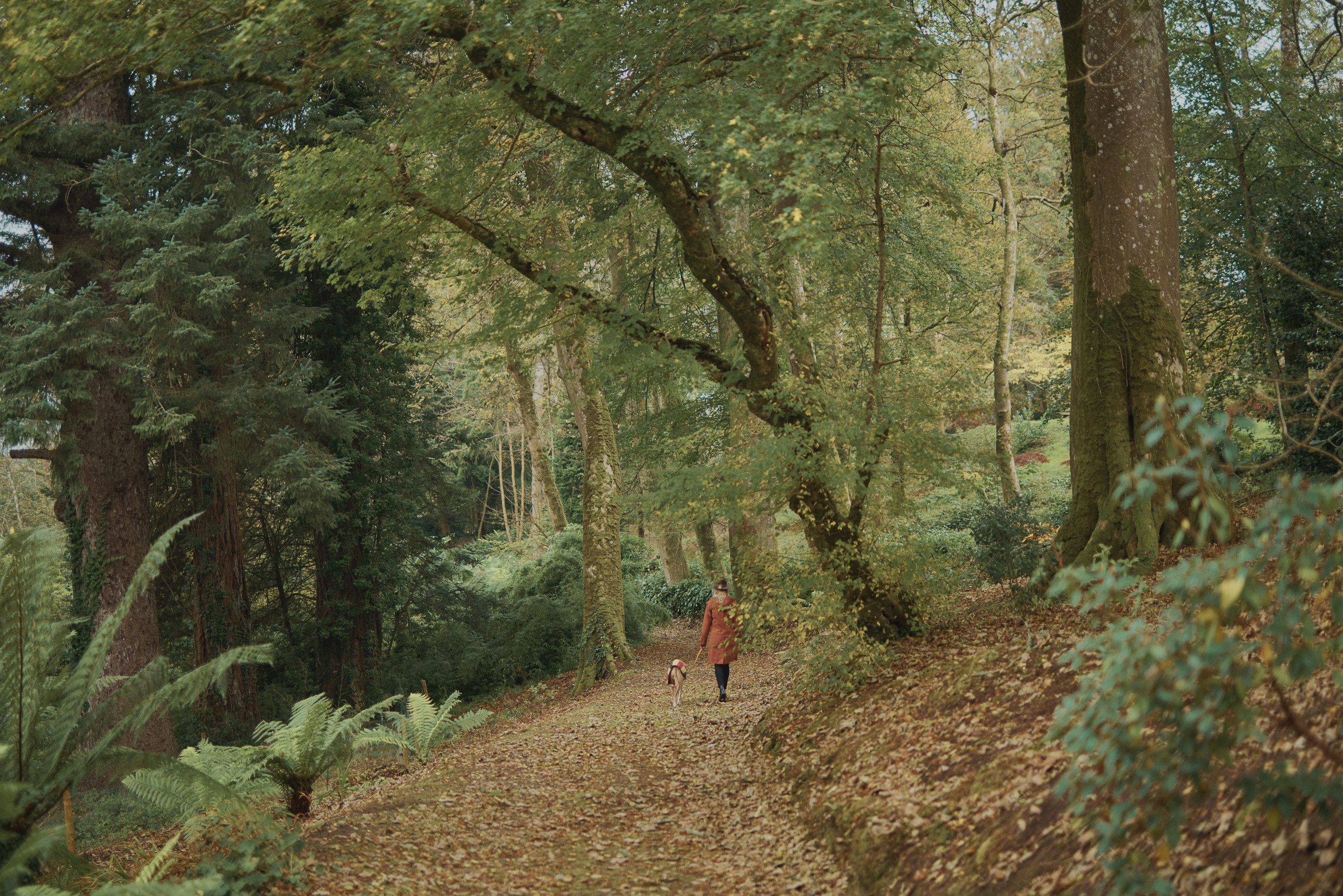 Full width image of a Long Coat wearer walkign her dog