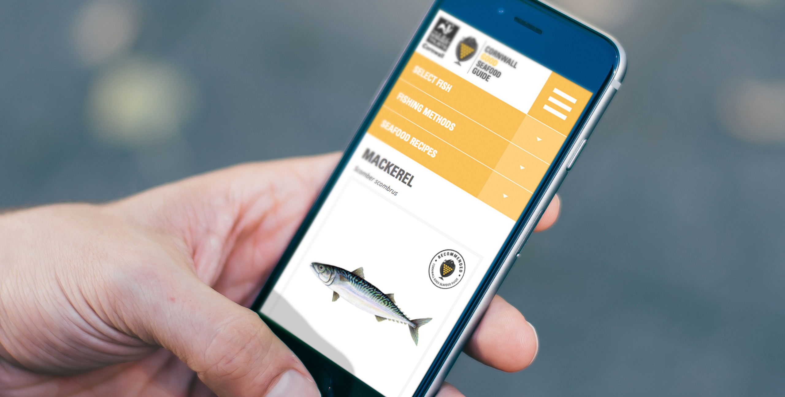 cornwall good seafood guide website on mobile device