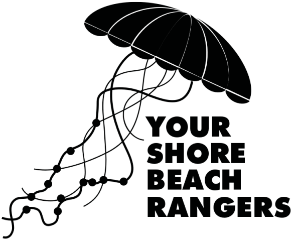 Your Shore Beach Rangers Case Study