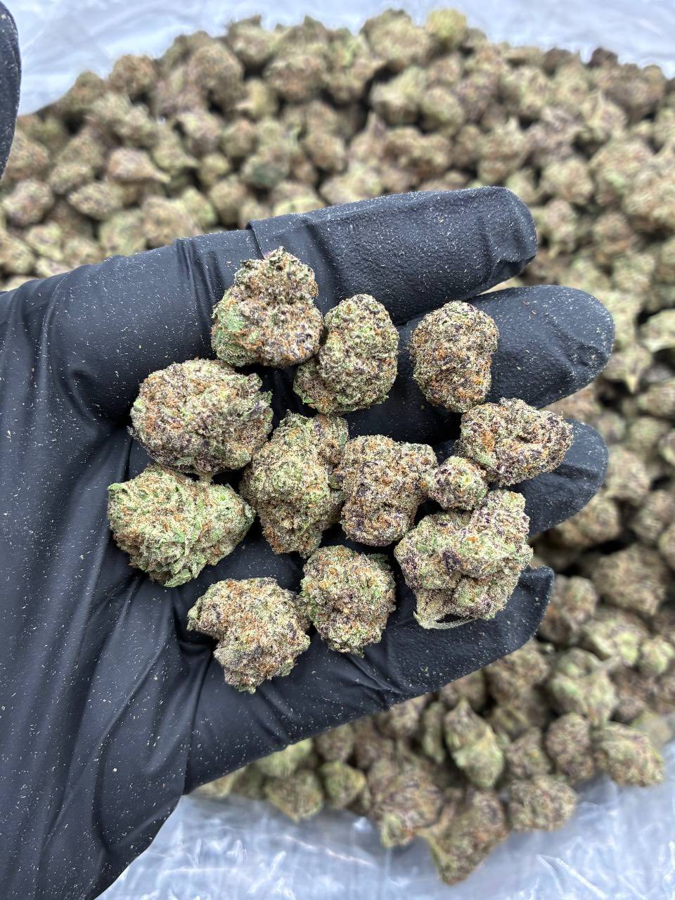 Why Supporting Local Cannabis Businesses Matters