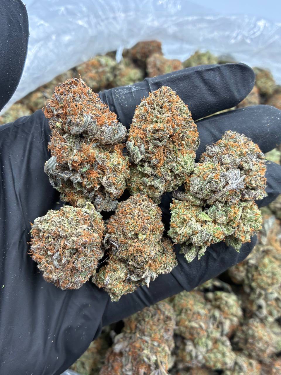 How to Roll the Perfect Joint: Step by Step