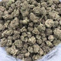 Citrus tsunami  view 2