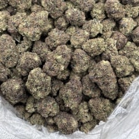 JOLLY RANCHER MIX LIGHTS 🍭  view 1