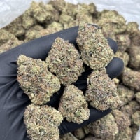 JOLLY RANCHER MIX LIGHTS 🍭  view 2