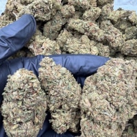 LEMON CHERRY DEPS 🍋🍒  view 1