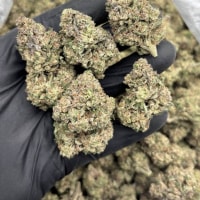 DOSI BUTTER MIXED LIGHTS 🥞🧈  view 1