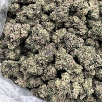 DOSI BUTTER MIXED LIGHTS 🥞🧈  view 2