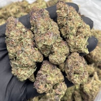 CHERRY FRITTER MIXED LIGHTS  view 1