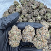 PINK LAFFY TAFFY INDOORS 💗🍭  view 1