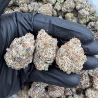 COOKIE CRISP INDOORS 🍪  view 1