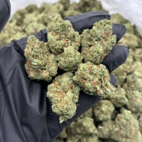 BGG Super Sherb view 1