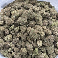 Candy LCG H10  view 2