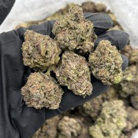 Smurf berries  view 1