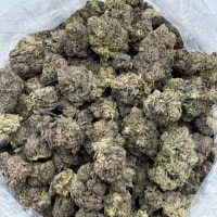 Smurf berries  view 2