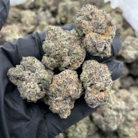 LA PPP 3-108  view 1