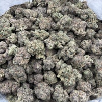 LA PPP 3-108  view 2