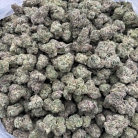 Gushers BR12  view 2