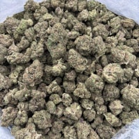 Citrus tsunami  view 2