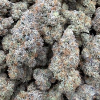 FREEZE CUP 🥶❄️ view 1