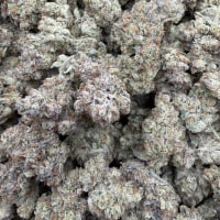 GAS FUMEZ ⛽️  view 1