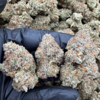 PURPLE DUMP TRUCK 😈🛻  view 2