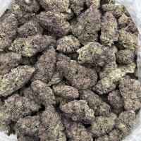 APPLE JEALOUSY MIX LIGHTS view 1