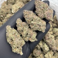 CARBON FIBER MIX LIGHTS ⛽️  view 1