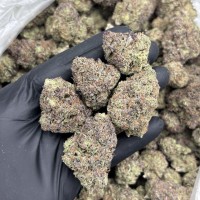 GARLIC & GRAPES MIX LIGHTS 🧅🍇  view 1