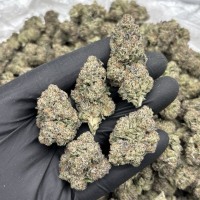 SHORTCAKE MIX LIGHTS 🍰 view 1