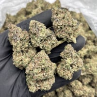 DOSI BUTTER MIXED LIGHTS 🥞🧈  view 1