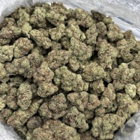 SOUR APPLE MIXED LIGHTS 🍏 view 2