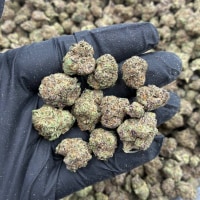 PURPLE POP ROX SM 🍾  view 1