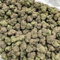 BLUE CANDY LEMONS INDOORS 🍭🍋  view 2