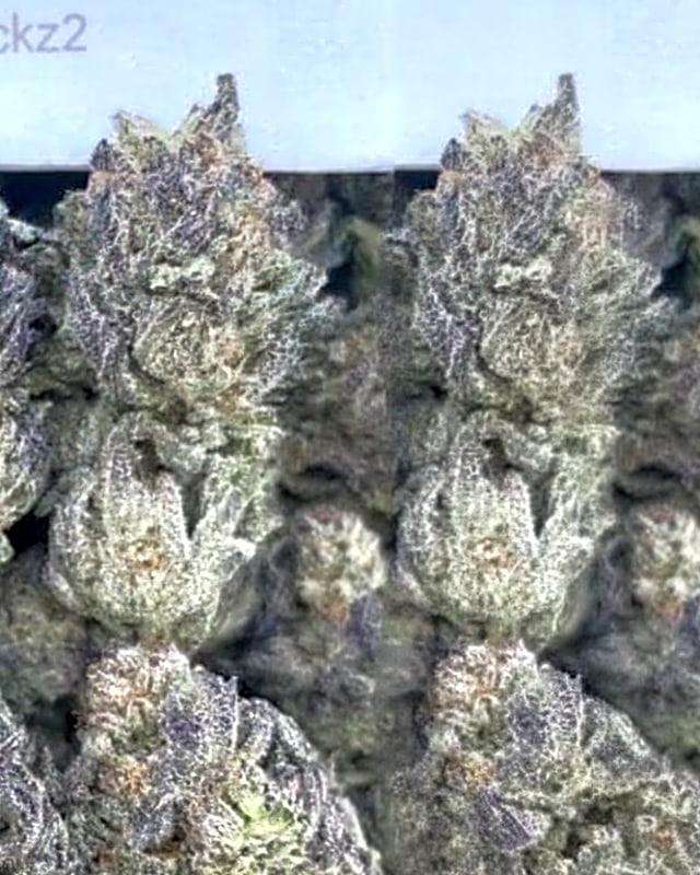 #B10X Chevron Gas ⛽️⛽️