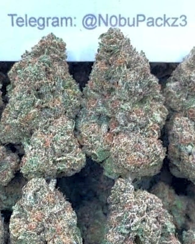 #B12Y Tres Leches 🍰🍮