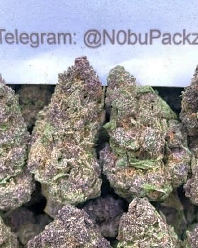 #B14T Girl Scout Glookies 👧🍪