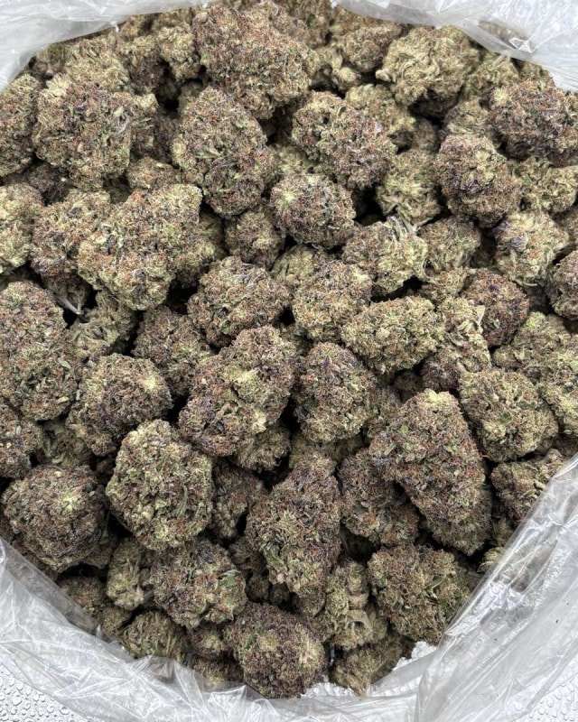 JOLLY RANCHER MIX LIGHTS 🍭 